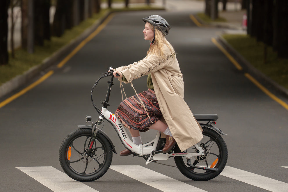 FAFREES F20 elektrische fiets