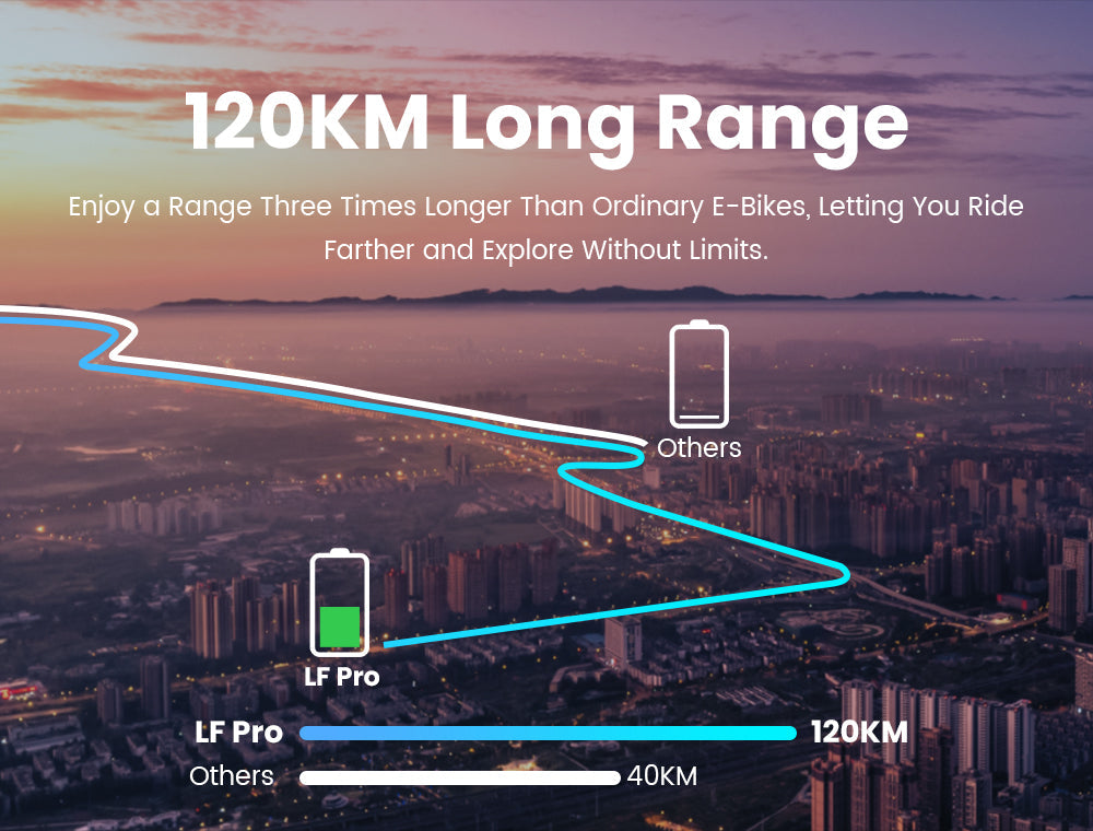 Rattan LF Pro elektrische fiets 250W
