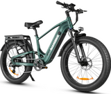 SAMEBIKE STORM 1000W Elektrische Mountainbike met Dikke Banden