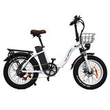 DRVETION CT20 elektrische fiets, 750W motor, topsnelheid 45km/u, 48V 15Ah Samsung