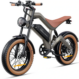 DYU M20 All-Terrain elektrische fiets met groot bereik