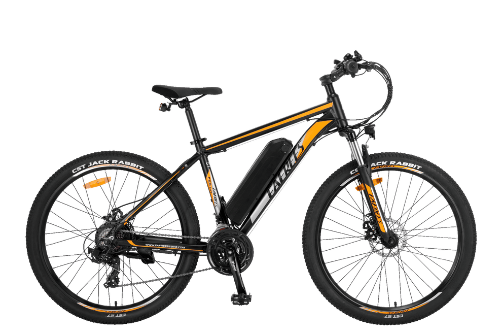 FAFREES F28 MT elektrische fiets 