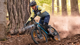 VARUN M27-1 Elektrische Fiets 250W