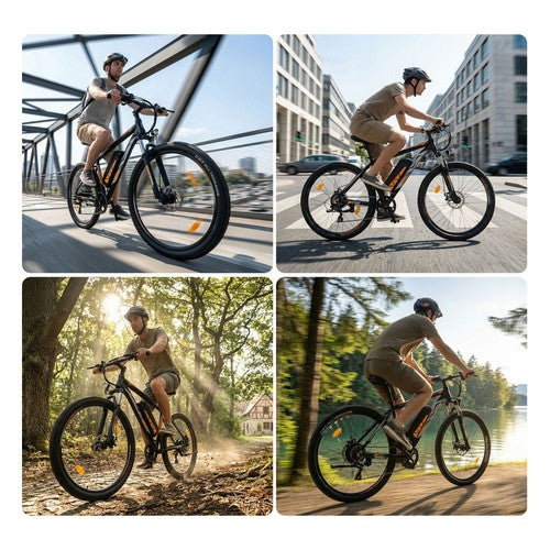 Touroll U2 Pro elektrische fiets, 750W piekmotor, 48V 15Ah