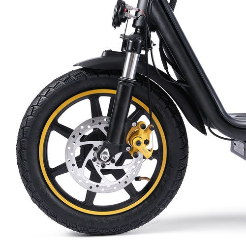 TWOFISH M5 Elite-E elektrische scooter