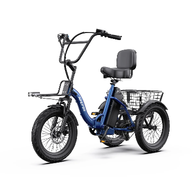 APEFOX RH30 Opvouwbare Elektrische Driewieler Fiets met Achtermand