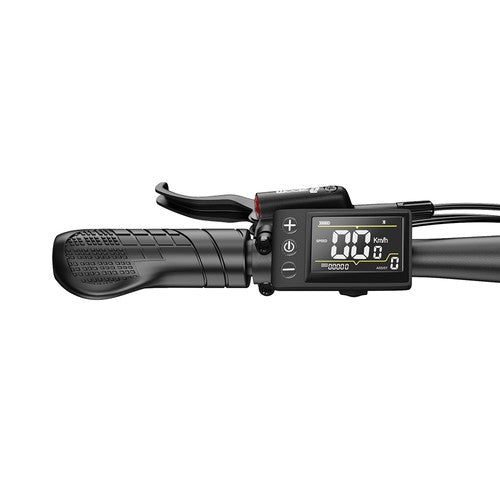 DUOTTS C29 Max elektrische fiets, 250W motor, 48V 18Ah