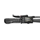 DUOTTS C29 Max elektrische fiets, 250W motor, 48V 18Ah