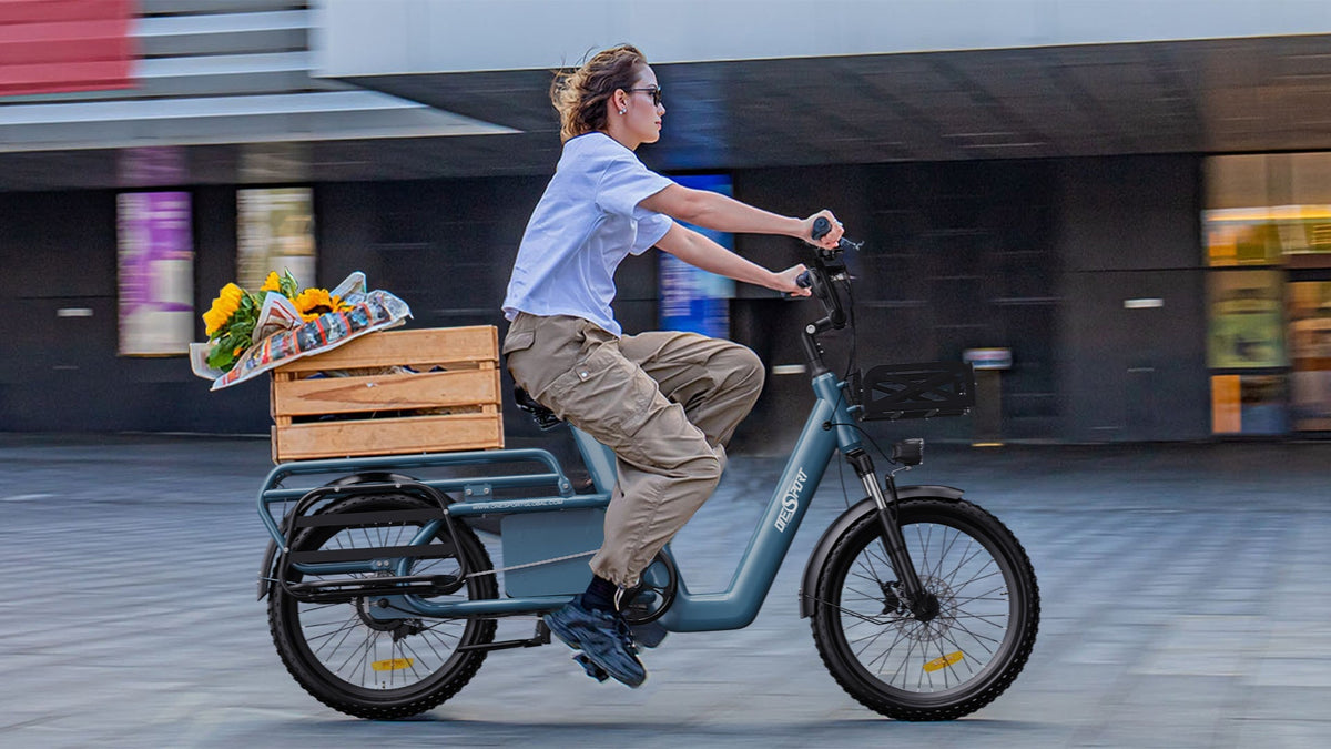 OneSport OT01 elektrische fiets 27Ah