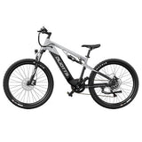DUOTTS E29 elektrische fiets, 250W motor, 48V 13,5Ah accu, 70 cm