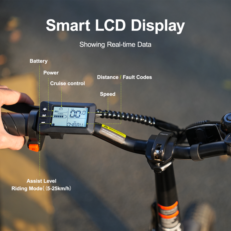AVDL A10 elektrische fiets 250W