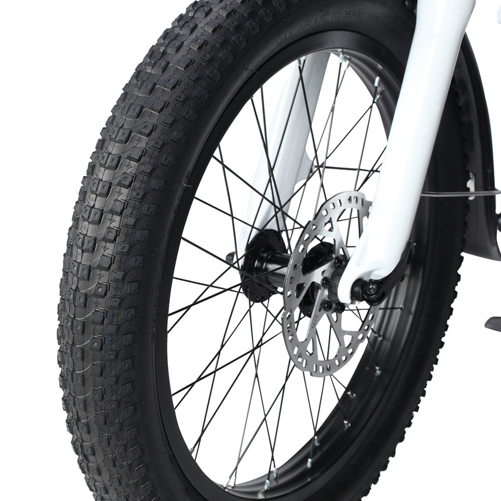 PHILODO Traveller elektrische fiets voor het hele gezin en met bagage.