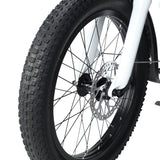 PHILODO Traveller elektrische fiets voor het hele gezin en met bagage.