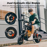 iScooter DX5 elektrische scooter, 1500W motor, 48V 15,6Ah