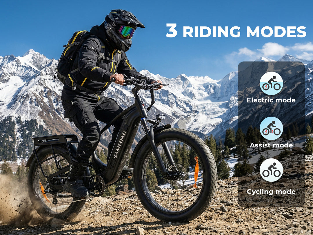 SAMEBIKE STORM 1000W Elektrische Mountainbike met Dikke Banden