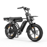 PIXAR® M9 Retro Elektrische Fiets 2× 48 V17.5Ah