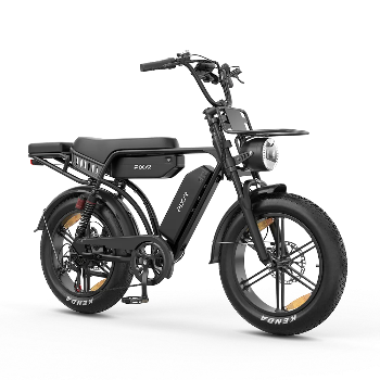 PIXAR® M9 Retro Elektrische Fiets 2× 48 V17.5Ah