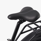 Rattan LF Pro elektrische fiets 250W