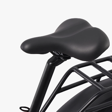 Rattan LF Pro elektrische fiets 250W