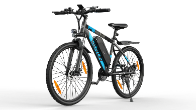 VARUN M27-1 Elektrische Fiets 250W