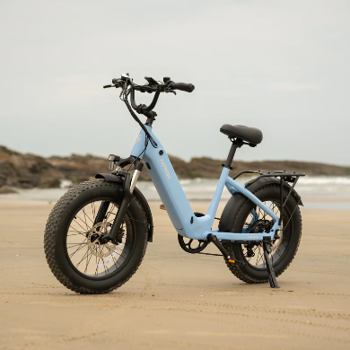 FAFREES F20 Rover elektrische fiets 250W