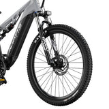 DUOTTS E29 elektrische fiets, 250W motor, 48V 13,5Ah accu, 70 cm
