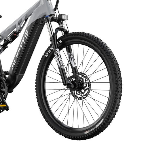 DUOTTS E29 elektrische fiets, 250W motor, 48V 13,5Ah accu, 70 cm