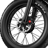 Apefox RH20 elektrische fiets 500W*2
