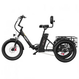 ONESPORT OT30 PRO Driewielige Elektrische Fiets