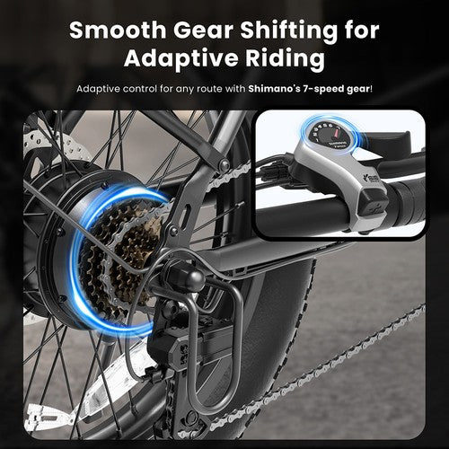 Touroll S3 elektrische step-through fiets, 250W motor, 36V 13Ah