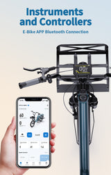 OneSport OT01 elektrische fiets 27Ah