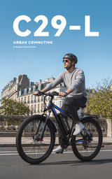 DUOTTS C29L Elektrische Fiets