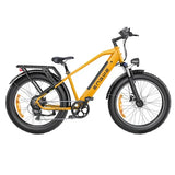 ENGWE E26 16AH elektrische fiets 45 km/u