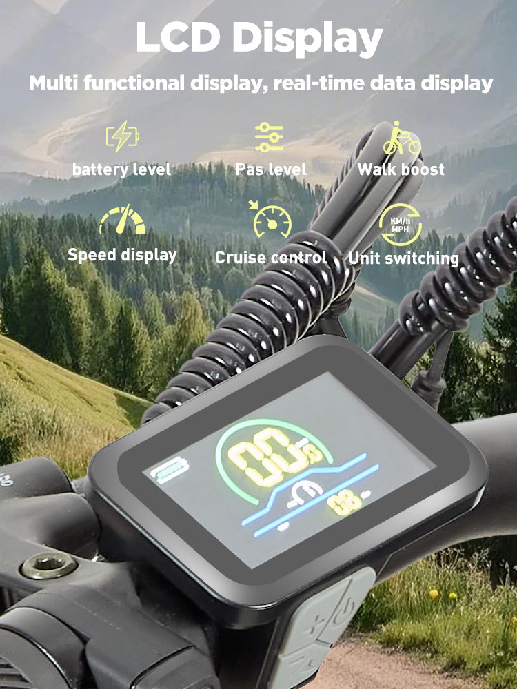 Burchda RX02 elektrische fiets 1000W