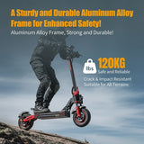 TWOFISH TW4 PRO elektrische scooter, 1000W*2 Motor, 60V 23Ah