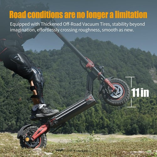 TWOFISH TW4 PRO elektrische scooter, 1000W*2 Motor, 60V 23Ah