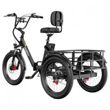 ONESPORT OT30 PRO Driewielige Elektrische Fiets
