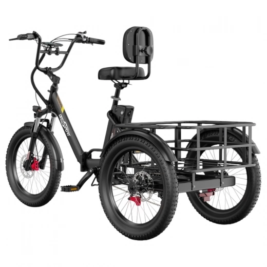 ONESPORT OT30 PRO Driewielige Elektrische Fiets