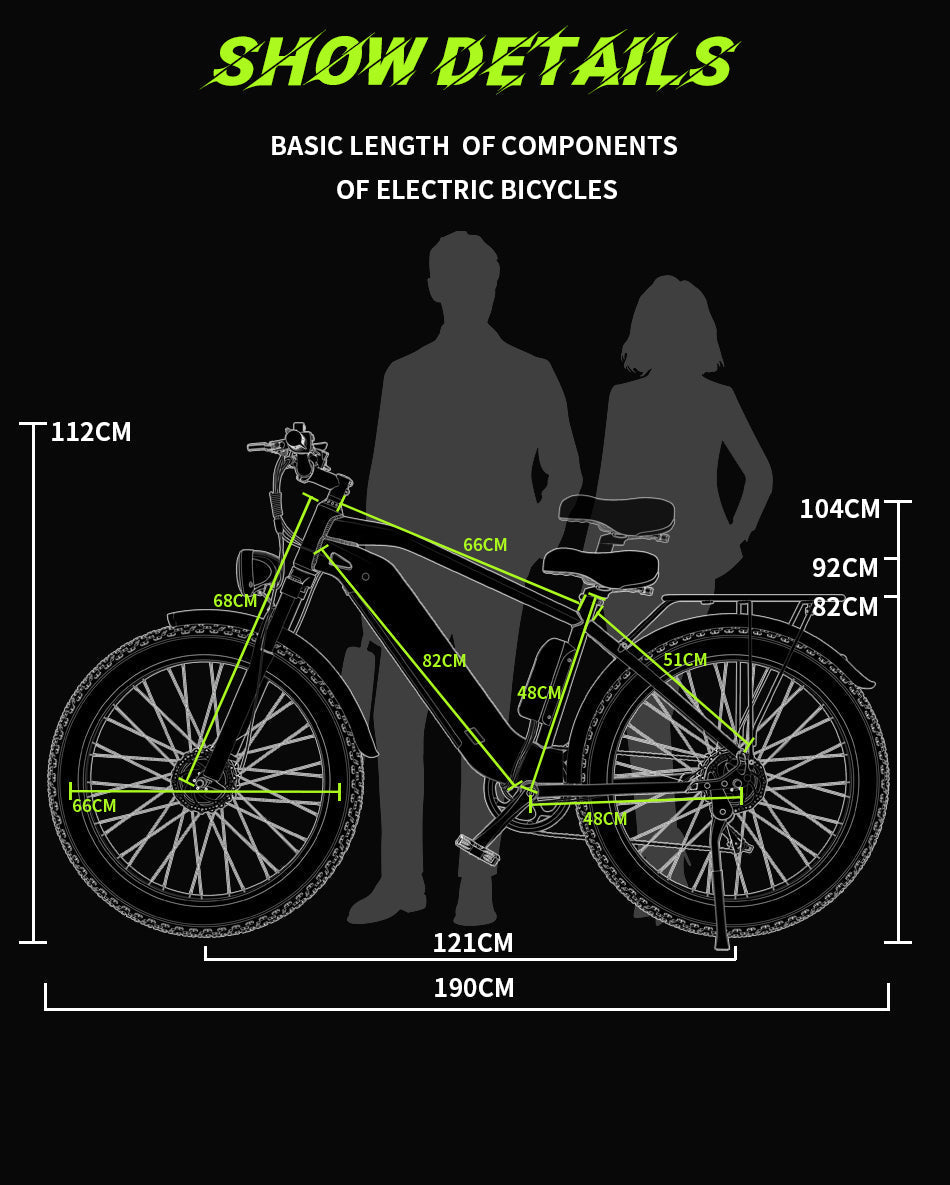 DUOTTS F26 PRO 750 W*2 elektrische fiets