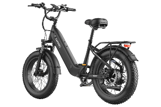 FAFREES F20 Rover elektrische fiets 250W