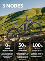 Burchda RX02 elektrische fiets 1000W