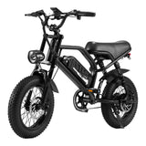 AVDL A13 Elektrische fiets 250W