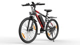 VARUN M27-1 Elektrische Fiets 250W