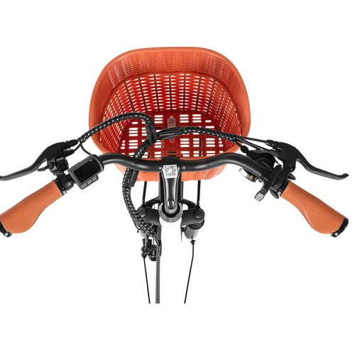 DYU C6 Pro elektrische fiets, 250W motor, 36V 15.6Ah