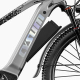 Cysum Speedy elektrische fiets, 500W motor, 48V 14AH