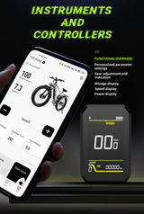 DUOTTS F26 PRO 750 W*2 elektrische fiets