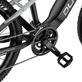 DUOTTS E29 elektrische fiets, 250W motor, 48V 13,5Ah accu, 70 cm