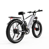 DUOTTS F26 PRO 750 W*2 elektrische fiets