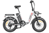 FAFREES F20 Max elektrische fiets 30Ah