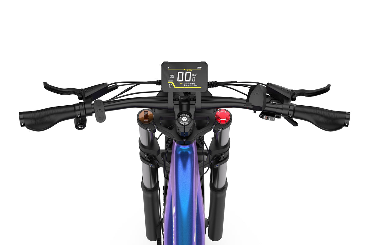 DUOTTS E26 elektrische fiets